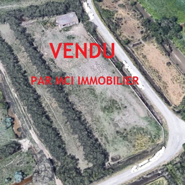 Offres de vente Terrain Mauguio 34130